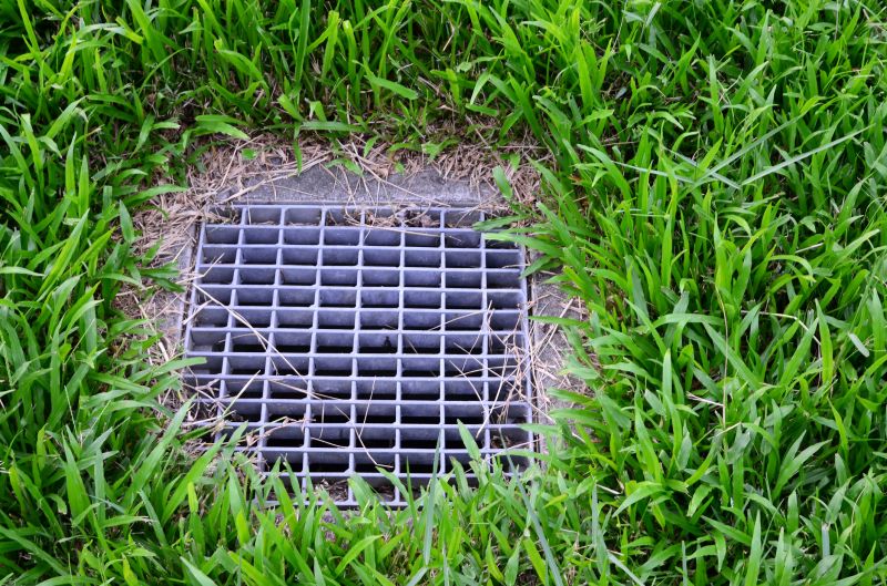 Yard Drainage