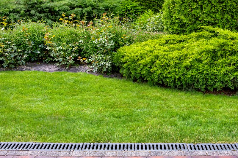 Products For Yard Drainages in use